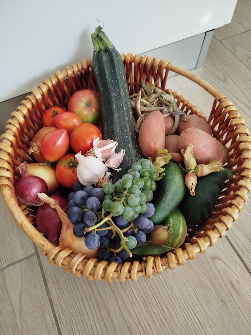A basket of freshly harvested home-grown vegetables